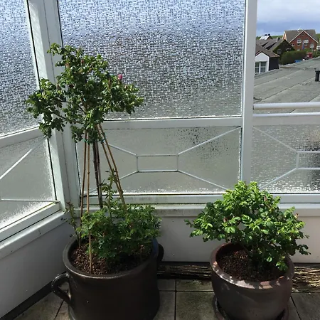 Penthaus Nordmarkhof Sylt Westerland